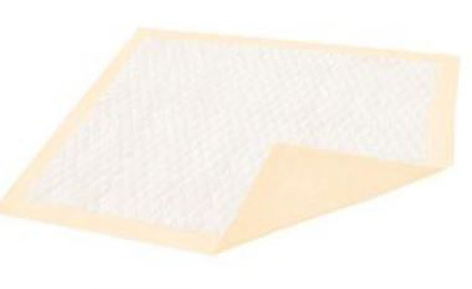 Dignity� Ultrashield� Plus Underpad, 30 X 36 Inch-Disposable Underpad Dignity� Plus 30 X 36 Inch Fluff / Polymer Moderate Absorbency